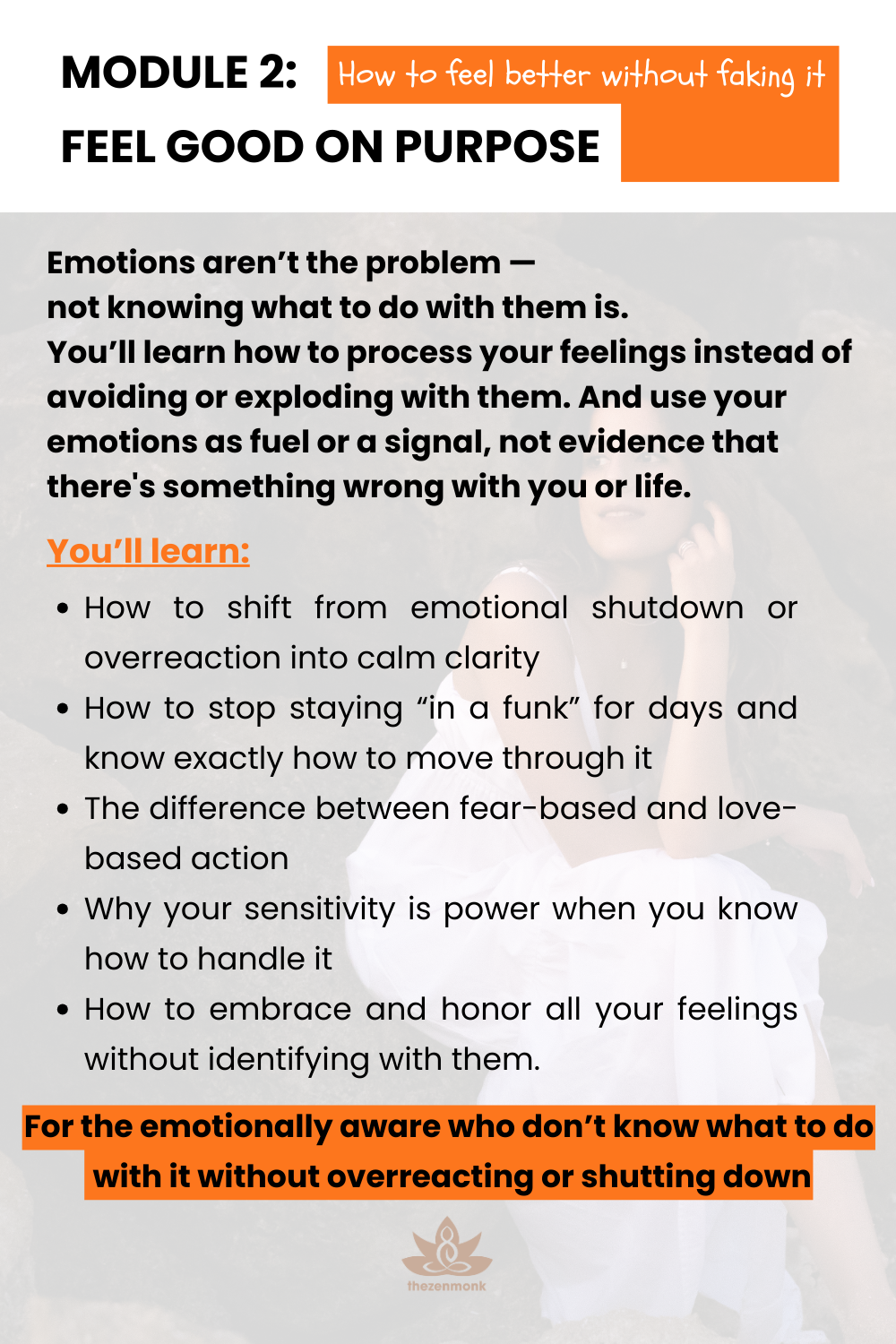 The Zen Manual